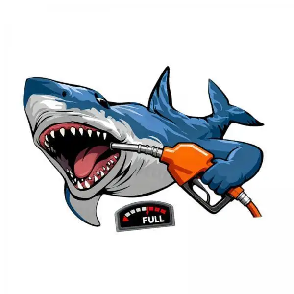PETG Hood Car Sticker Beautiful Car Sticker Waterproof Decal Universal Styling Vehicle Window Decor