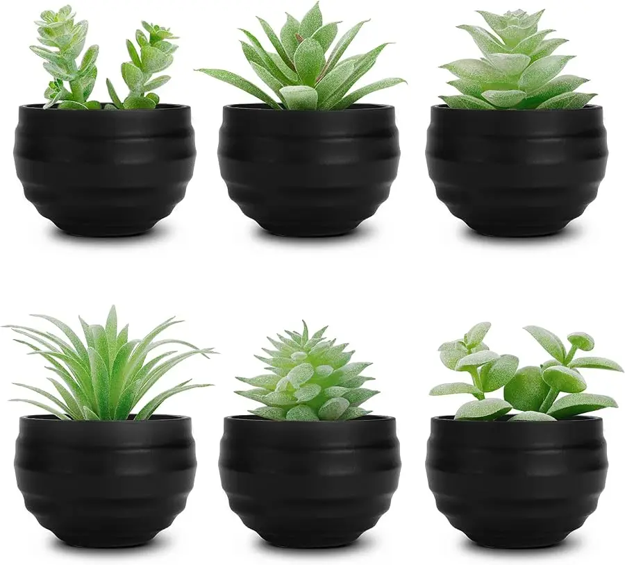 

Set of 6 Succulents Plants Artificial in Pots Small Fake Plants for Halloween Decorations Bedroom Living Room Office Shelf Black