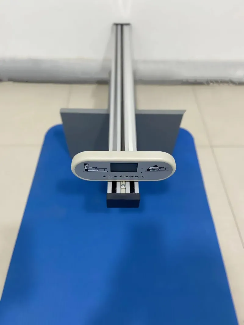Testing instrument, physical fitness tester for primary and secondary school students, ligament training device