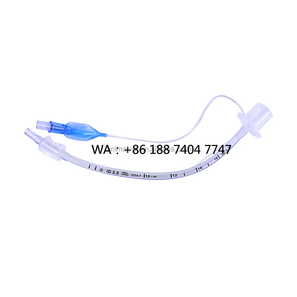 tube-endotracheal-jetable-avec-ballons-gonflables-sans-cuff-instrument-veterinaire-pvc-de-qualite-medicale