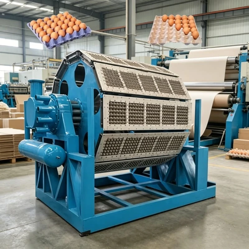 Waste Paper Recycling Egg Tray Machine Cost Effective Automatic Forming Pulp Molding Equipment Customized Production Capacity