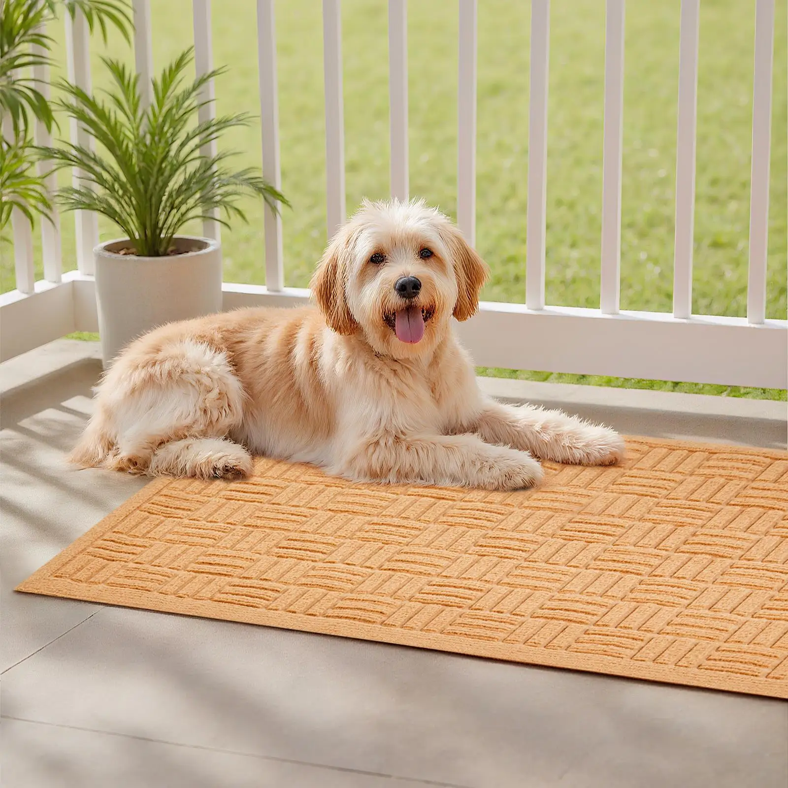 29.53 x 17.72 Inch Absorbent Door Mat with Non Slip Rubber Backing Dirt Resistant Low Profile Entryway Rug for Front Door Porch Patio Easy Clean Beige