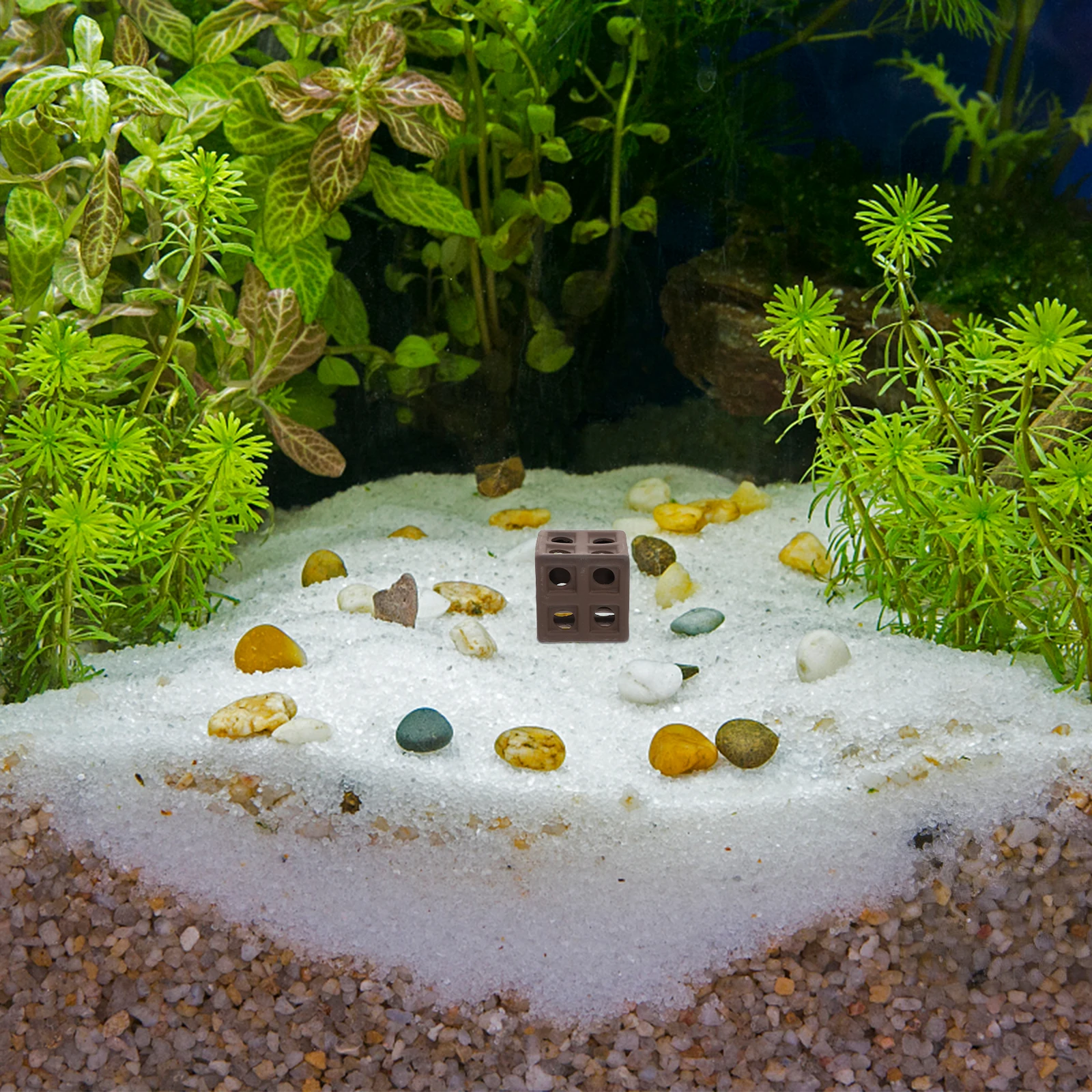 

1Pcs Fish Tank Adornment Creative Aquarium Cave for Hermit Crab Shrimp House Decoration Fish Tank Adornments