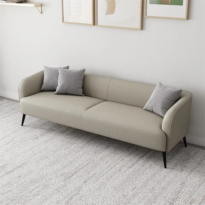 Modern simple double sofa small apartment single three-person technology cloth