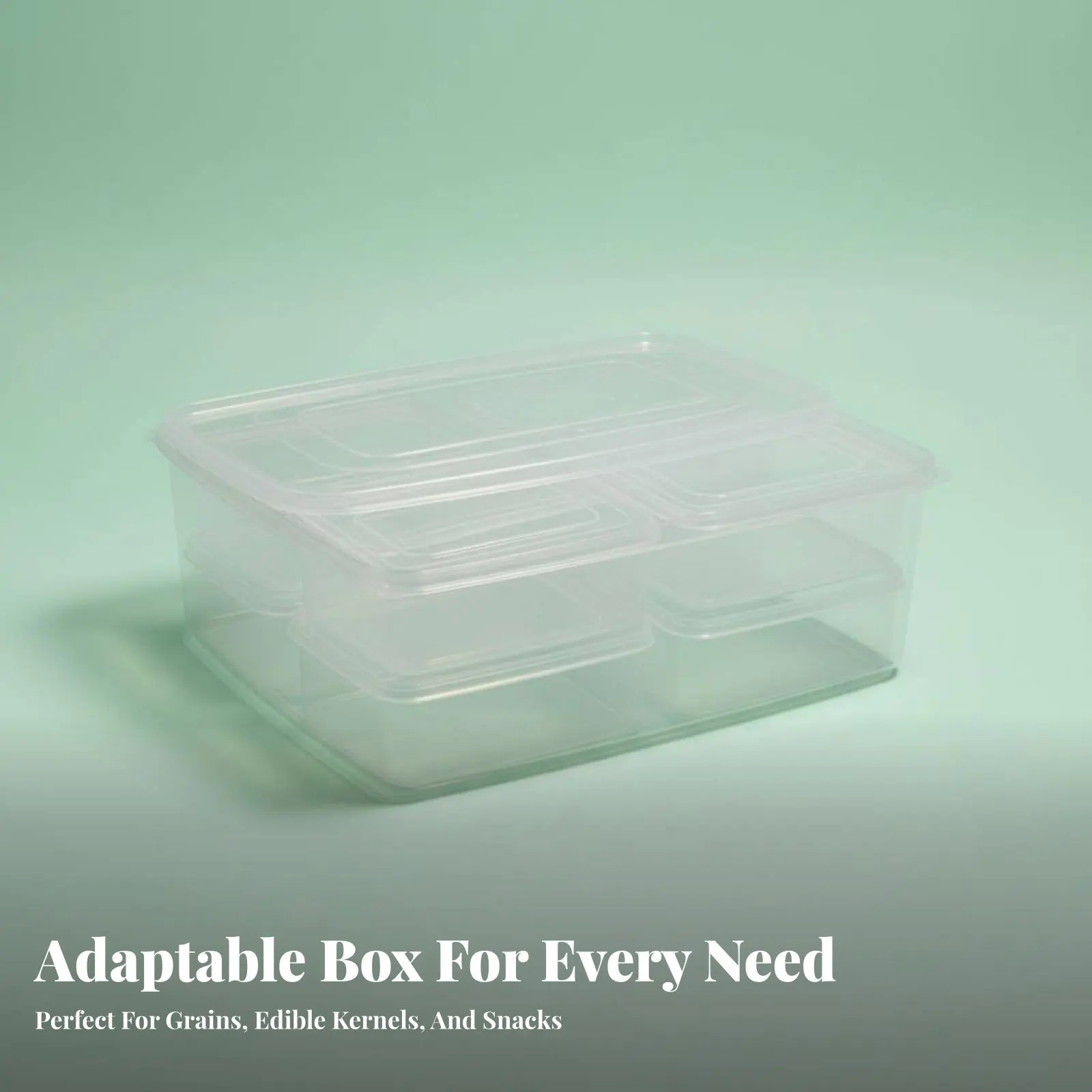 Multi-Compartment Snack Tray Multiple Compartments 8-Compartment Snack tray Portable Clear Lid for commuteers, Kitchen, Office