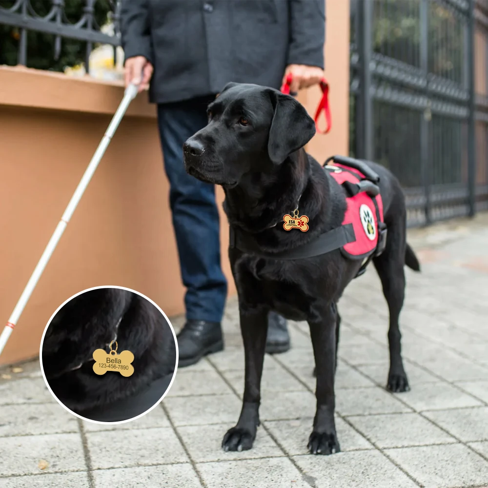 Personalisierte ESA-Hundemarke aus Edelstahl – Individuelle Emotional Support Animal (ESA) Haustier-ID-Anhänger in Knochenform – Detail 21