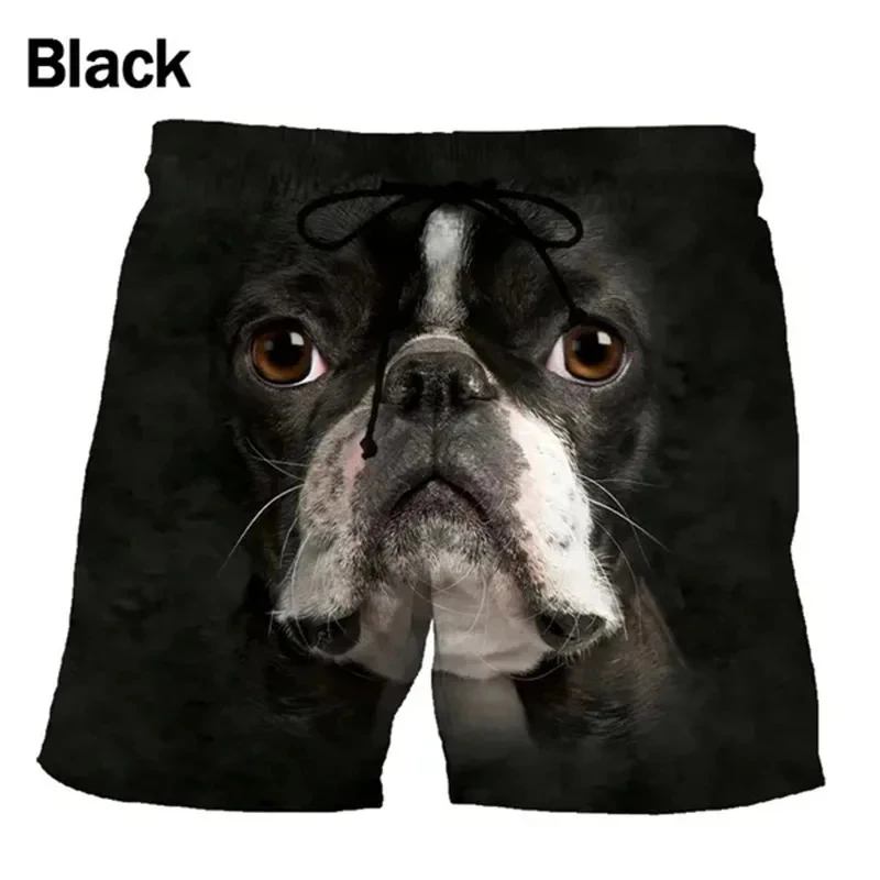 Funny Animal Face 3d Print Short Pants Men Summer Dog Elephant Graphic Swim Trunks Women Vacation Street Harajuku Beach Shorts