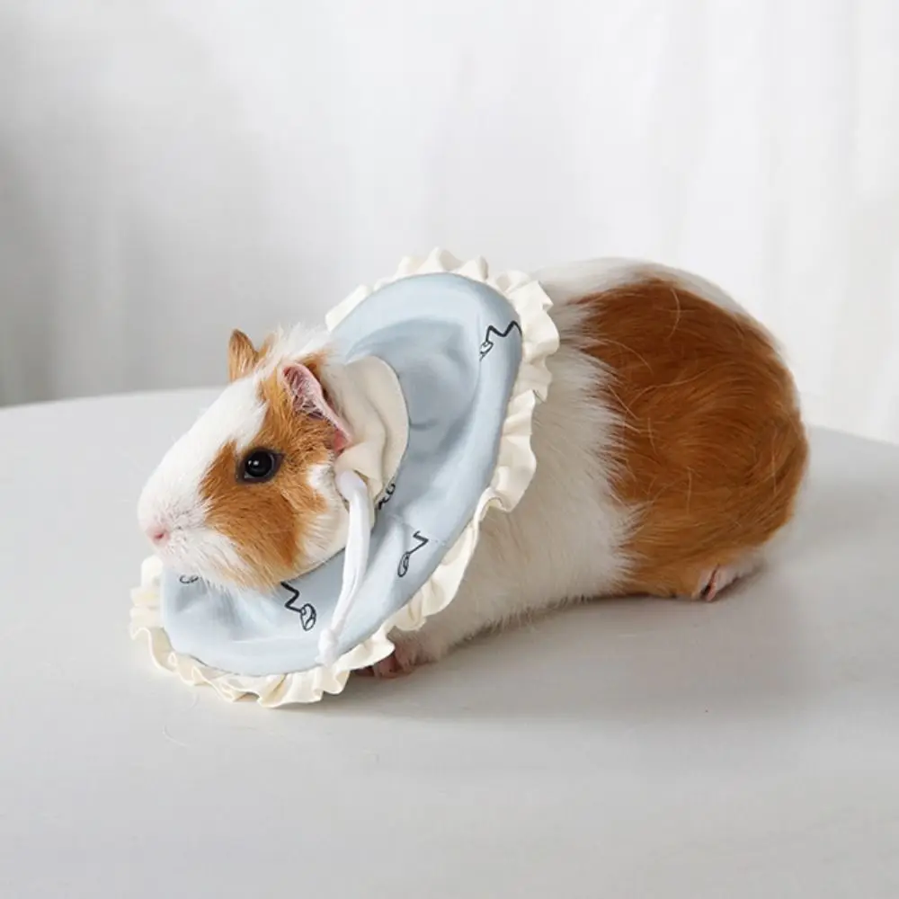 

Ошейник для хомяка с защитой от укусов, елизаветинский, регулируемый, против лизания, воротник для восстановления шеи от крысы, мягкий защитный круг для кролика после травм