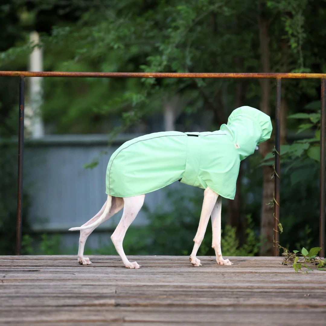 Einfarbiger Regenmantel für Italienische Windhunde und Whippets im Frühling und Sommer, Leichte, Taillenverstellbare, Winddichte Jacke für Hunde – Detail 9