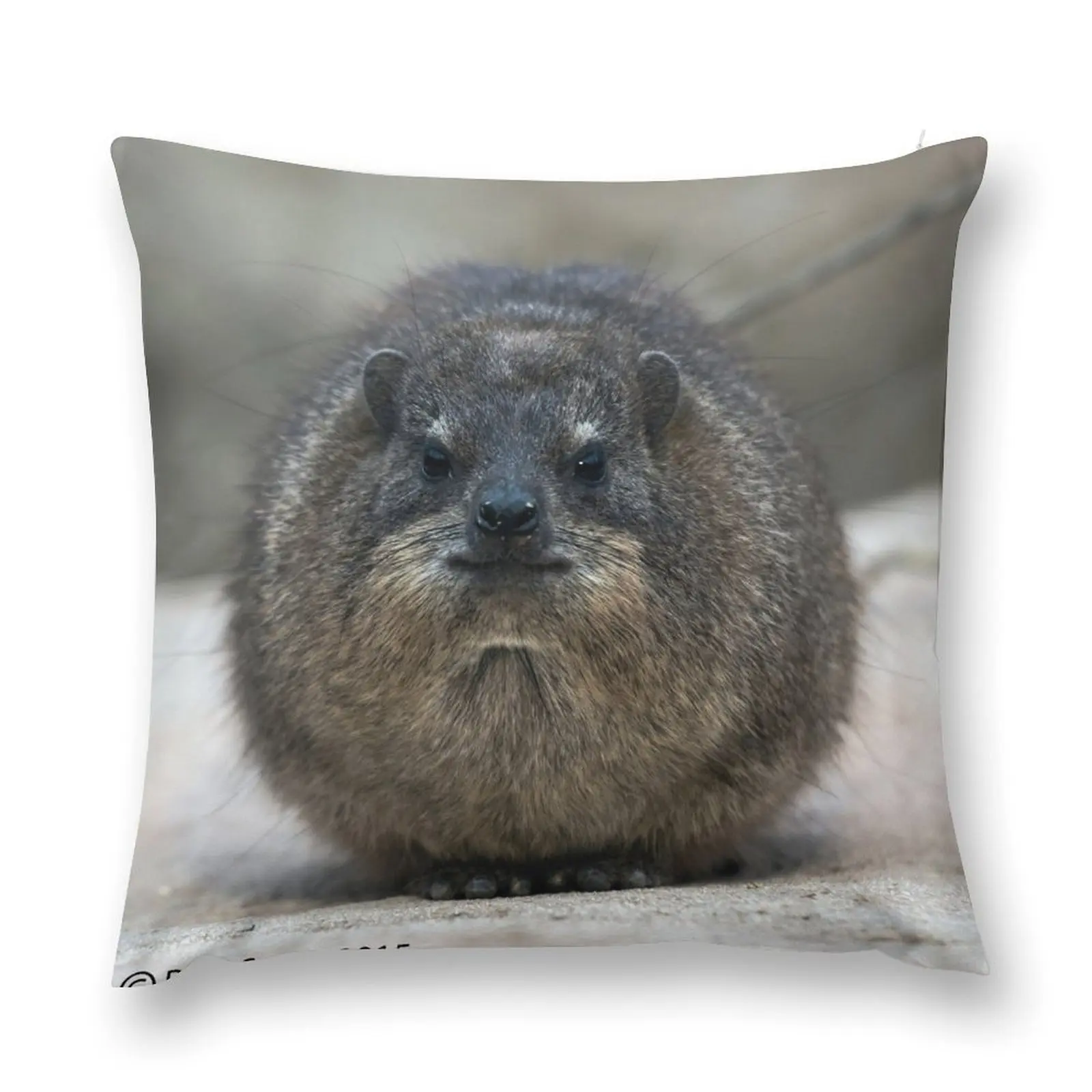 Rock Hyrax Throw Pillow Luxury Sofa Cushions Pillowcases For Pillows Christmas Pillow Cases pillow