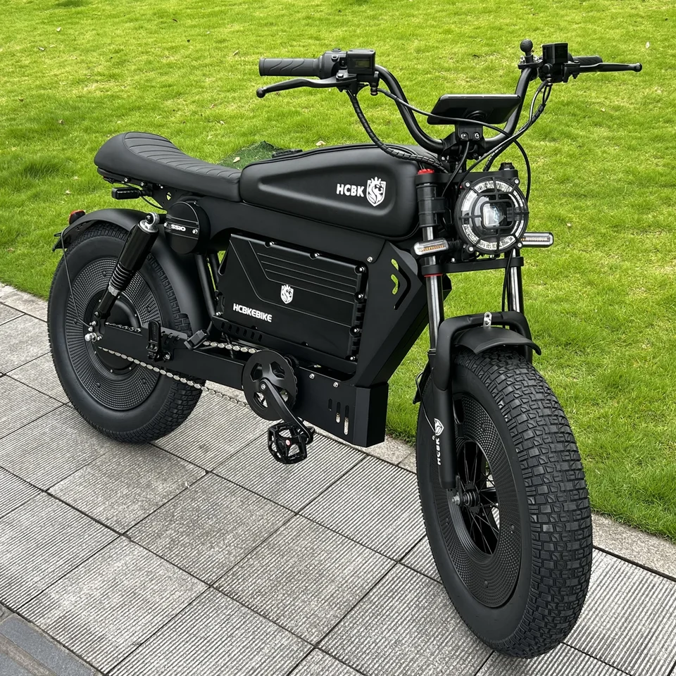 -SS10 20 Inch 3000W Rear Hub Motor US Black Warrior Ebike 30AH/60AH Lithium Battery 140KM Electric Off-road Mountain Bike image 5