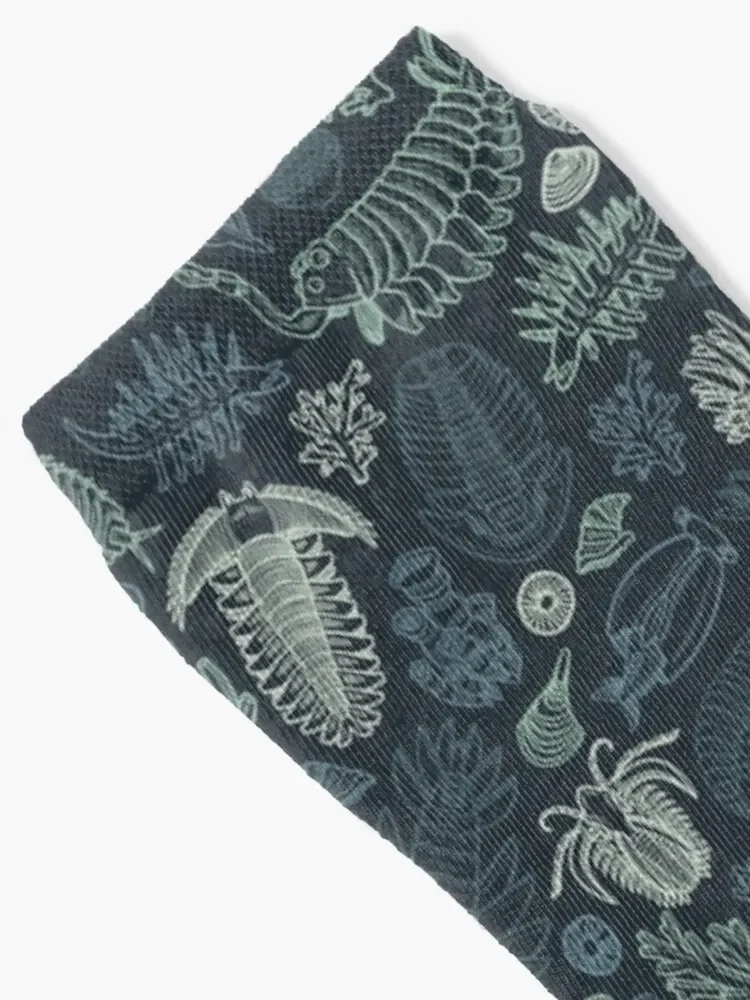 Studio 252MYA Collaboration: Cambrian Fauna (2020 Reboot) Socks golf essential Socks Ladies Men's