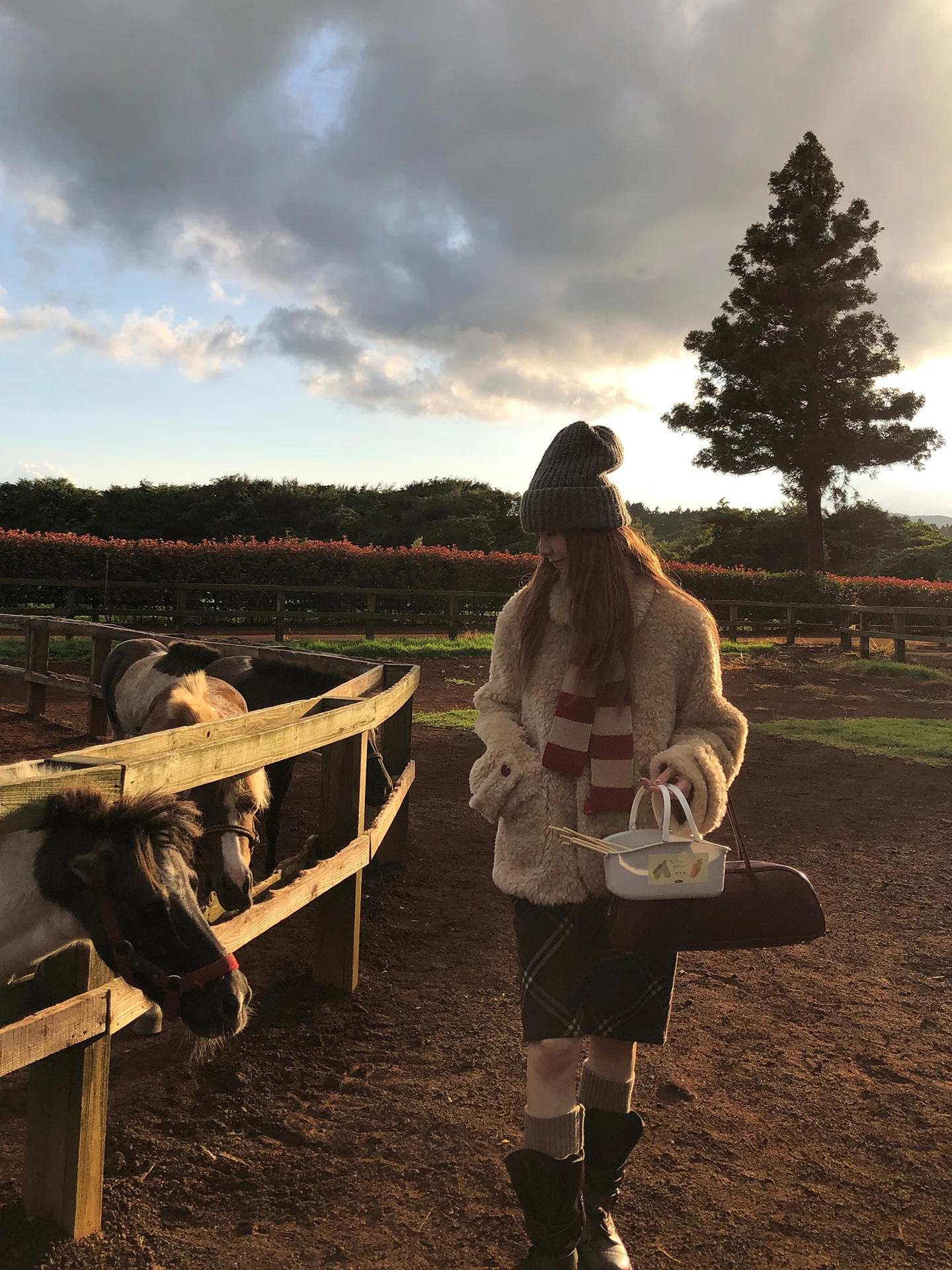 Red Celebri Lamb Fur Jaet Women's Winter New Cotton Coat Super Warm Cotton Clothes Polyester Fiber Straight Cut Sle