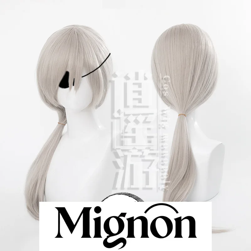 

Chainsaw Man Quanxi Cosplay Wig Silver Gray Long Braid Straight Ponytail Halloween Gift