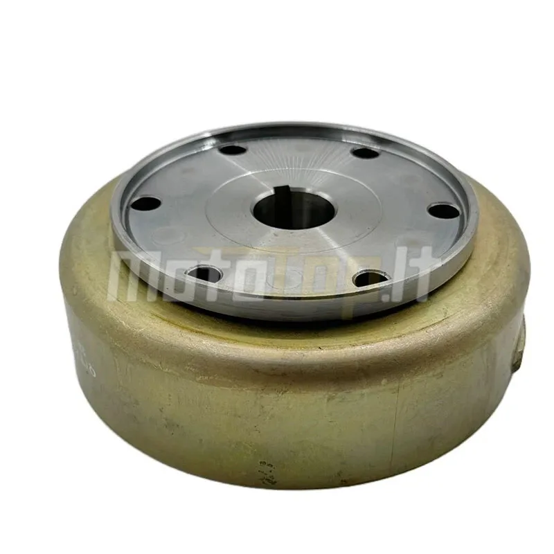 Magneto Flywheel Rotor for Jianshe 400c Mountain Lion JS400 ATV Quad Parts F3-D51000-0