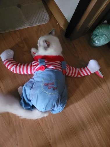 구매후기