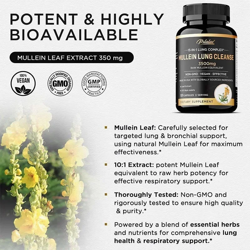 تنظيف الرئة من مولين - يعزز صحة الرئة، ويعزز إزالة السموم والدفاع المضاد للأكسدة، ويعزز الجهاز المناعي #4