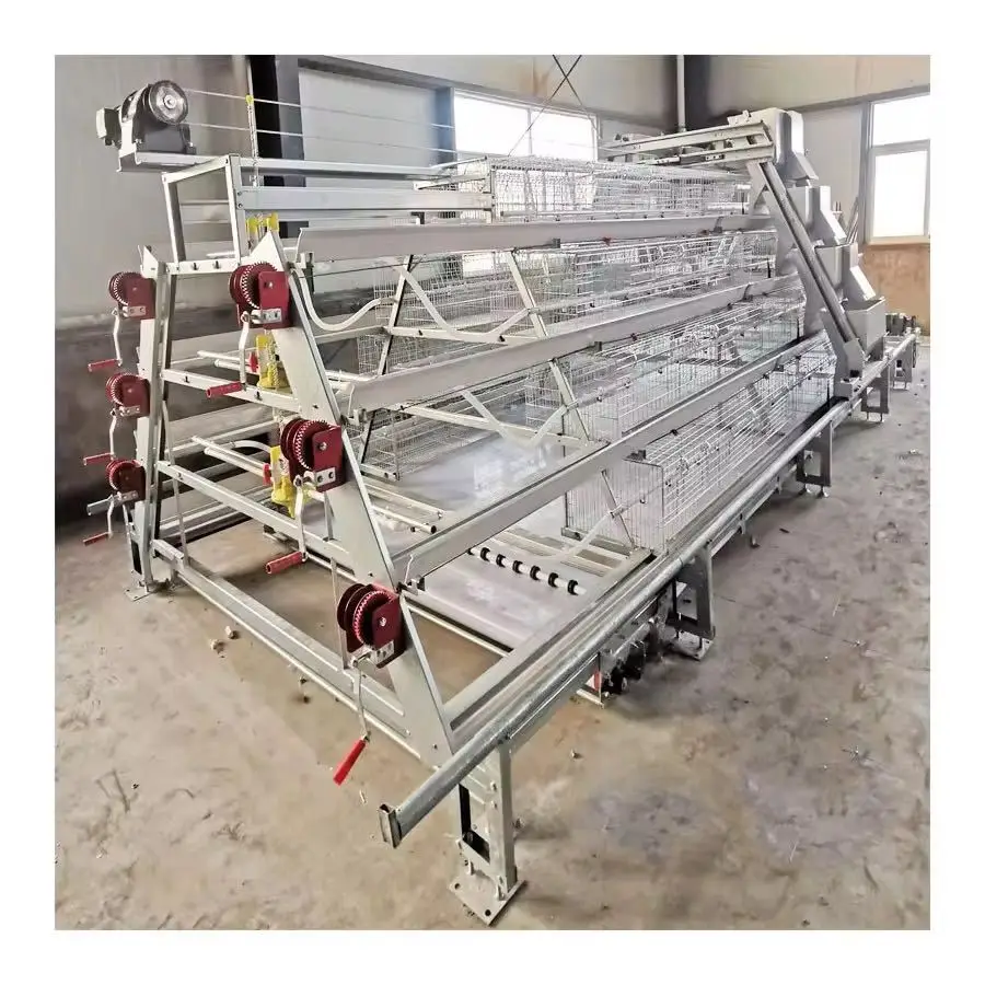 Fully Automatic A-Type Layer Chicken Cages Special Poultry Egg Cage for Breeding