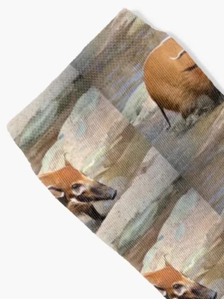 جوارب Red River Hog هدية عيد الميلاد هدية عيد الميلاد جوارب رياضية للبنات للرجال #2