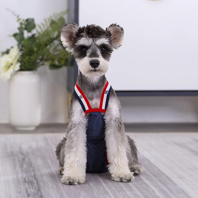 Denim-Höschen für Französische Bulldoggen, physiologische Höschen mit Punkten für weibliche Hunde, Sicherheits- und Hygienehöschen für kleine und mittelgroße Hunde, Katzen, Haustier-Shorts – Detail 12