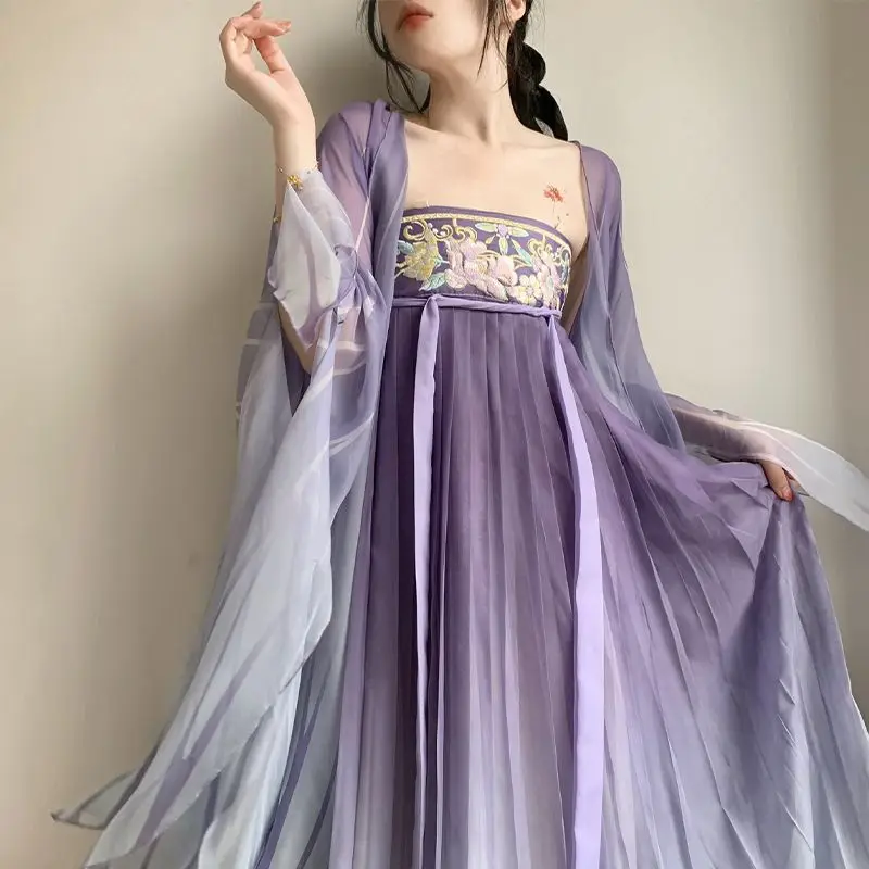 Robe Hanfu chinoise de la dynastie Tang pour femmes adultes, jupe de prairie violette, littérature de palais, ensemble imprimé à grandes manches Hanfu