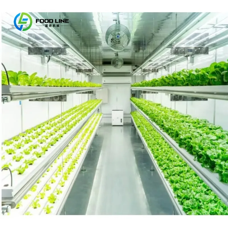 Customized Smart Farm Greenhouse Leaf Vegetable Vertical Farming Shipping Containers Plant Factory Hydroponic Container Farms