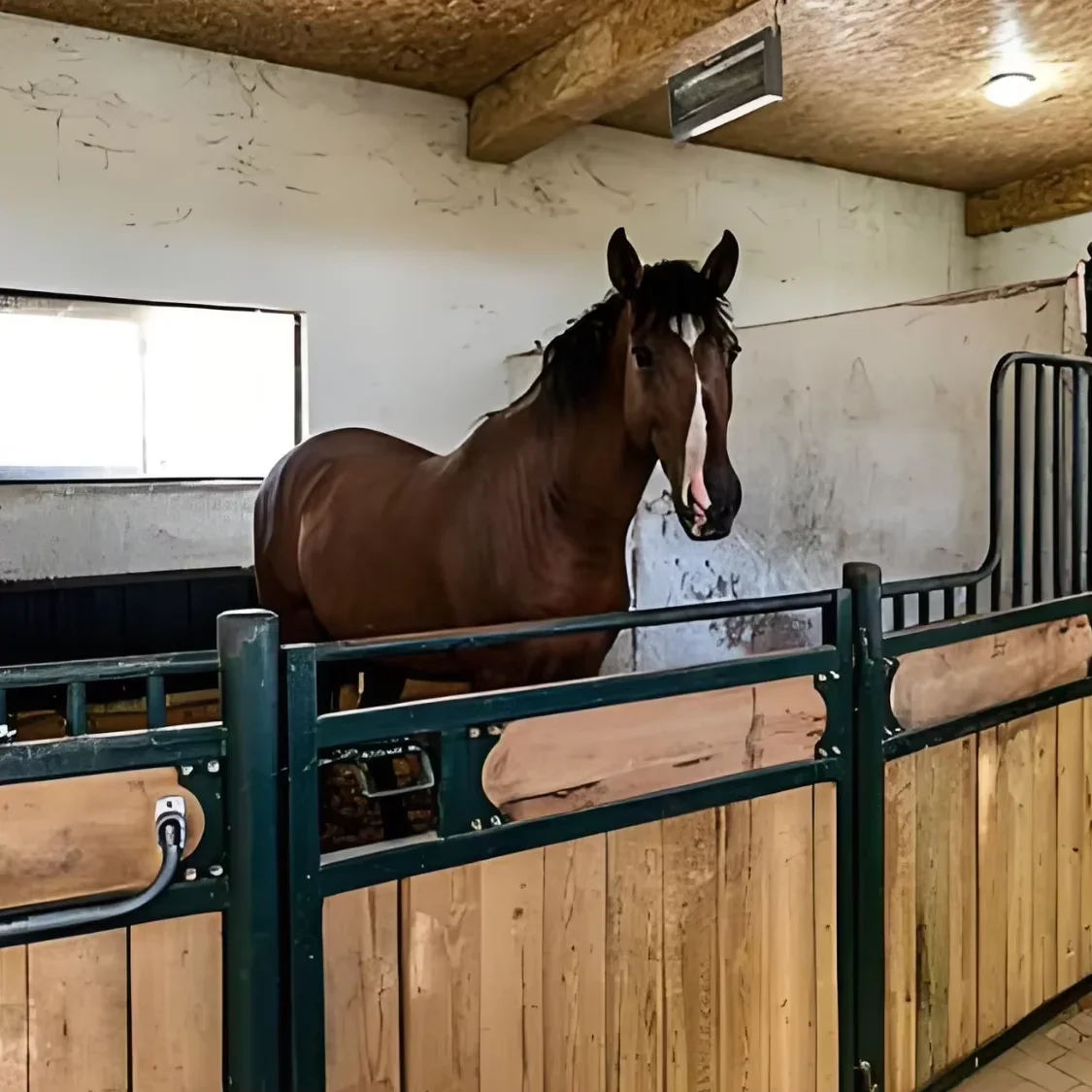 

Indoor customized stables Good price High quality Widely sought after in Europe Good tool for horse breeders horse stable china