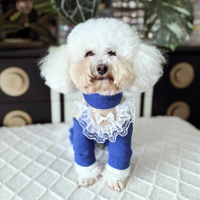 Fashion Blue Pet Dog Clothes Autumn Winter Warm Cotton Wrap Belly Jumpsuits For Small Medium Dog Chihuahua Puppy Sprt Clothing