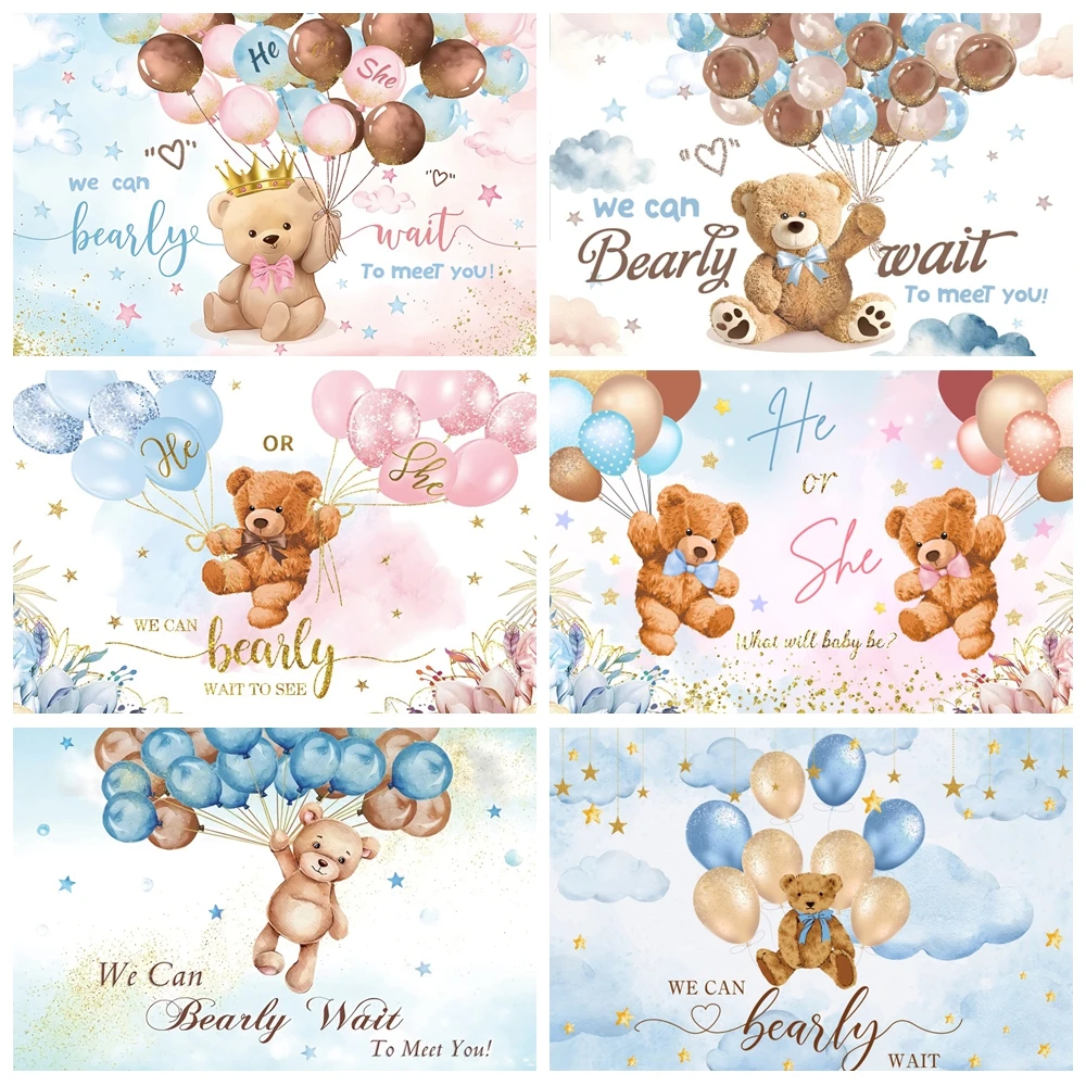 

We Can Bearly Wait Baby Shower Backdrop Hot Air Ballon Bear Gender reveal Girl Boy Birthday Party Photography Background Decor