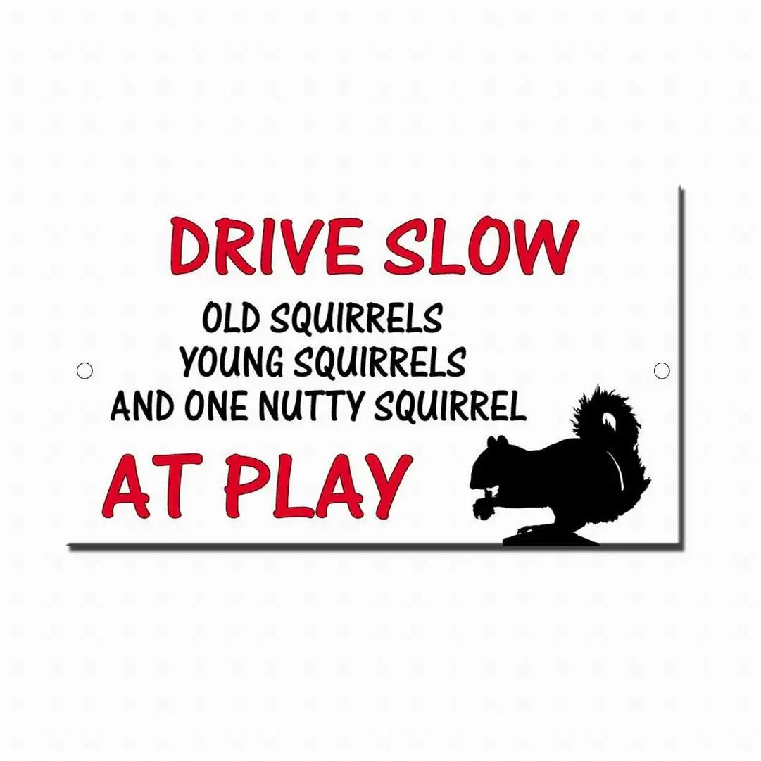 PaBoe Drive Slow Old Young Nutty Squirrels at Play Notice Sign Safety 8x12 Tin Metal Signs Road Street Sign Outdoor Decor