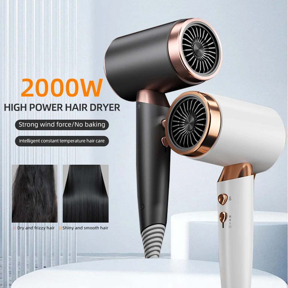 Professional Hair Dryer For Home Use High Speed Negative Ion Hair Care Styling Hair Dryer Low Noise Blower Dryer Hot Wind