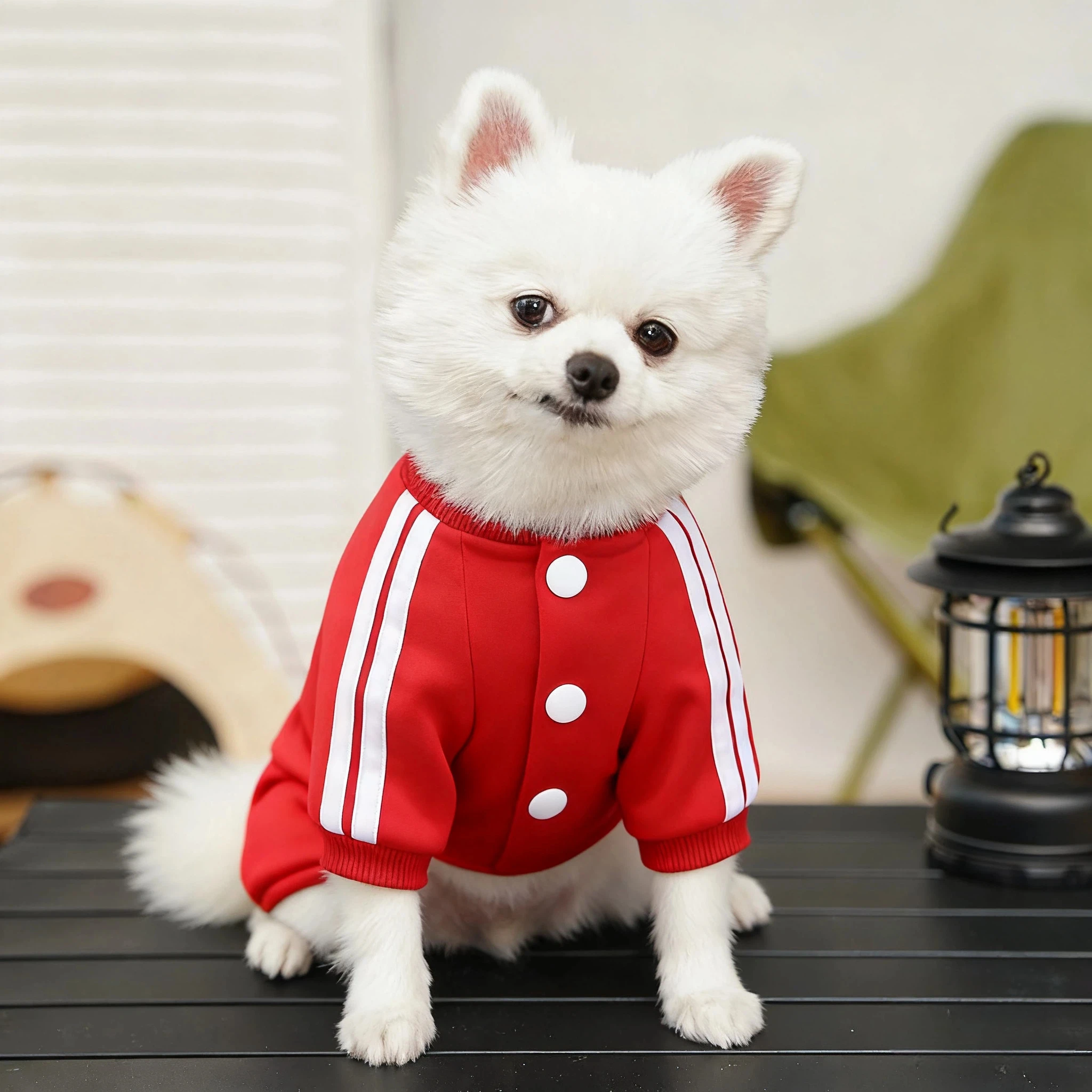 Thumbnail 4 - #7 Pet Winter Clothing Comparison Guide