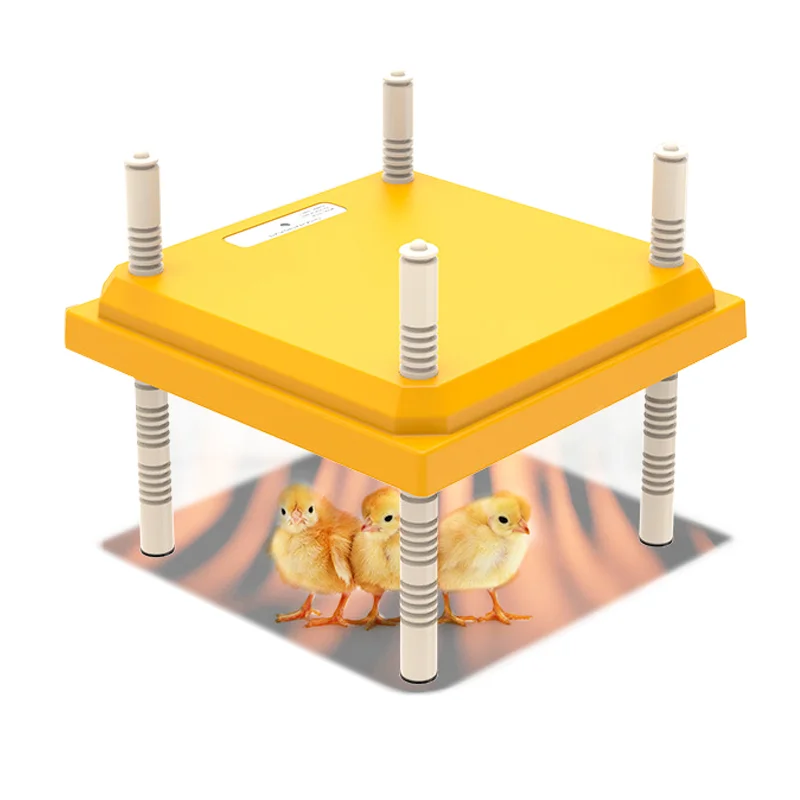 

Height and Temperature Adjustable Chicks Quail Poultry Heating Brooder Plate for Keep Warm