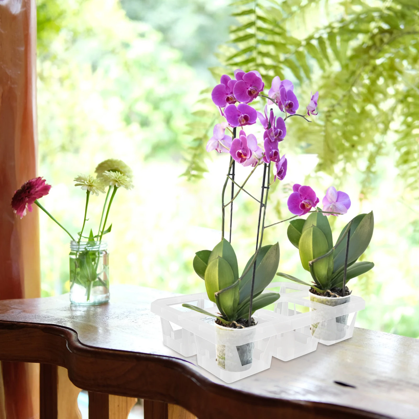 

2 Pcs Phalaenopsis Orchid Pot Holder Bracket Plastic Root Control Planter Storage Box Grid Wall Flowerpot Tray