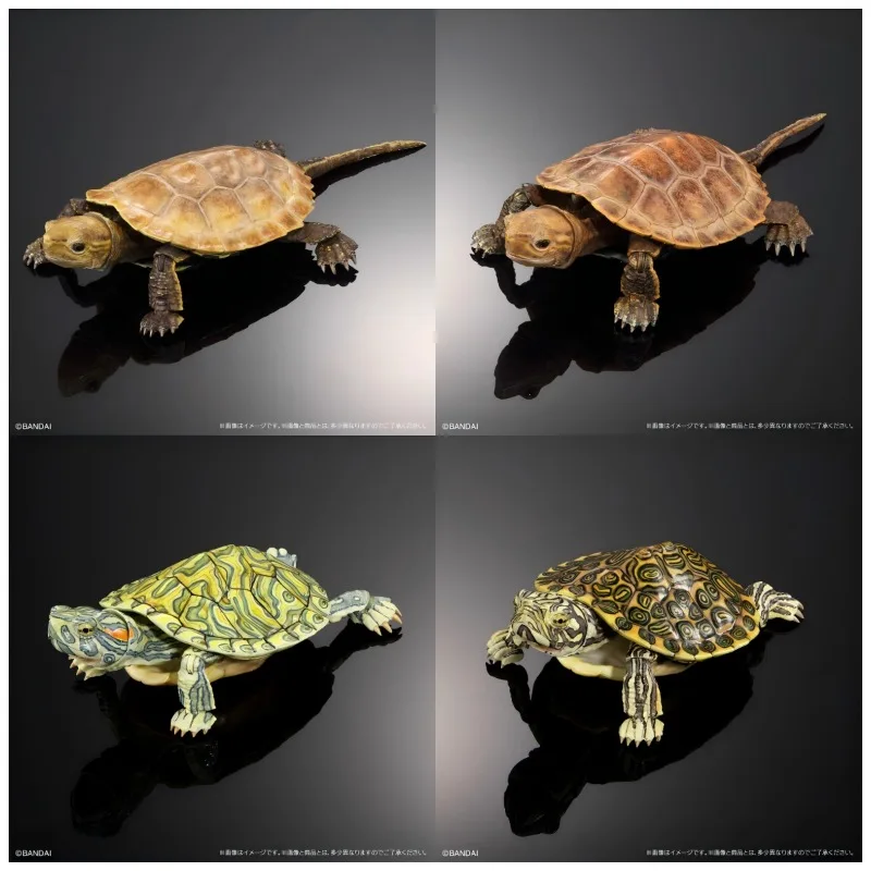 BNADAI Biology Grand Library Red-eared Slider Simulation Animal Gashapon Ornament Collectible Toy