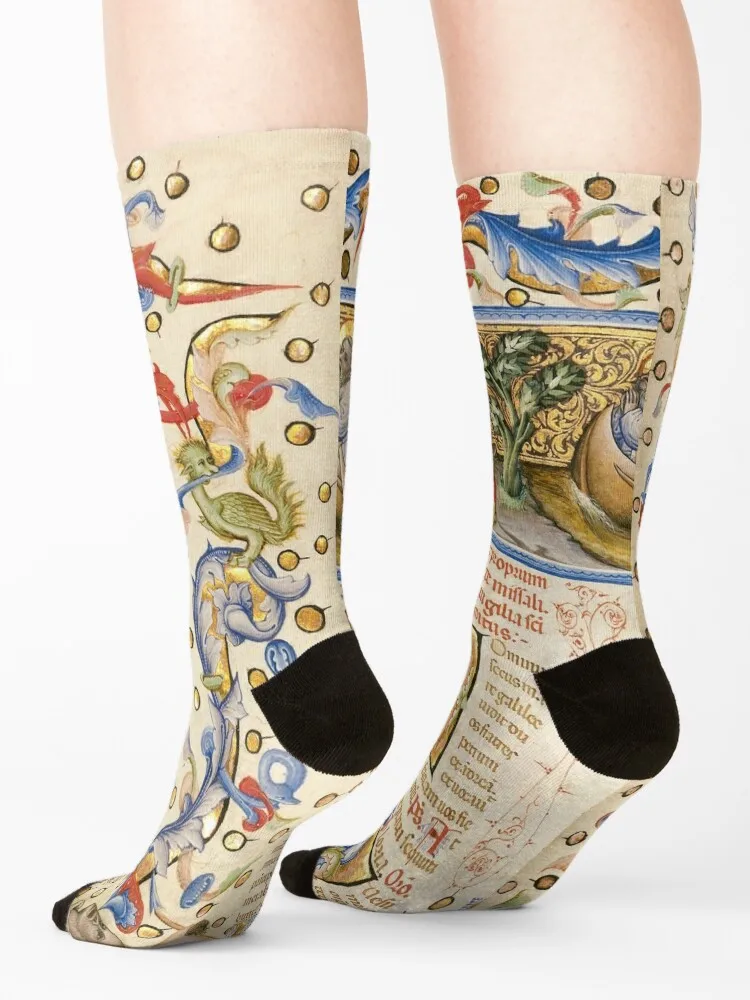 Medieval illuminated manuscript. medieval miniature Socks Lots Climbing Stockings compression winter thermal Men Socks Women's