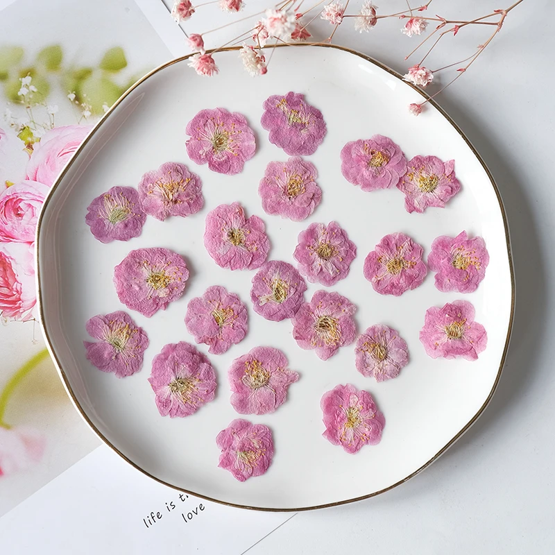 24PCS/2-3cm,Nature petals pressed peach flower head,real flower DIY resin drop gum candle aromatherapy phone case beauty decal