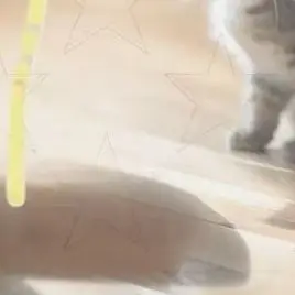 

Set of Two, Auto LED Light Bulb 1156 BAU15S Socket Connectors, P21W Adapter for Car Light Base