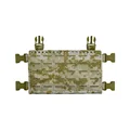AOR1