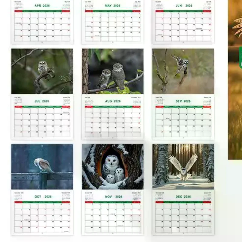 

New 2026 Calendar - 12 Month Owles Wall Calendar Fun Cute Home Decor For Scheduling And More