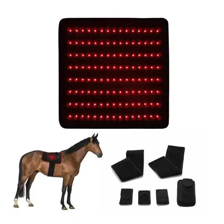 Pet Physical Therapy Belt Horses Care Near Infrared Hoof Pain Relief Flexibleble Red Light Therapy Horse Pad For Horse