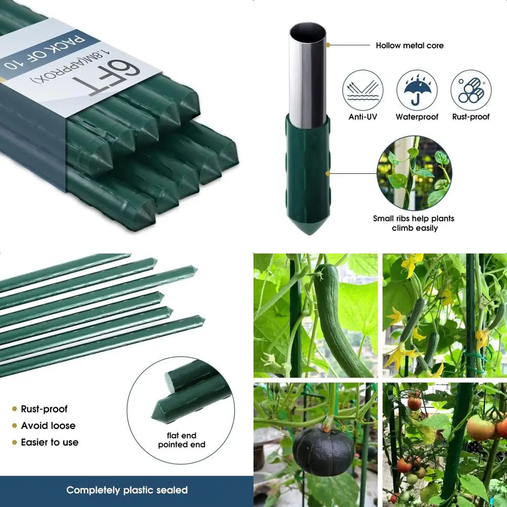 

Опорные колья для уличных растений — 6 шт., металлические столбы диаметром 0,78 дюйма для фасолей, огурцов, вьющихся растений