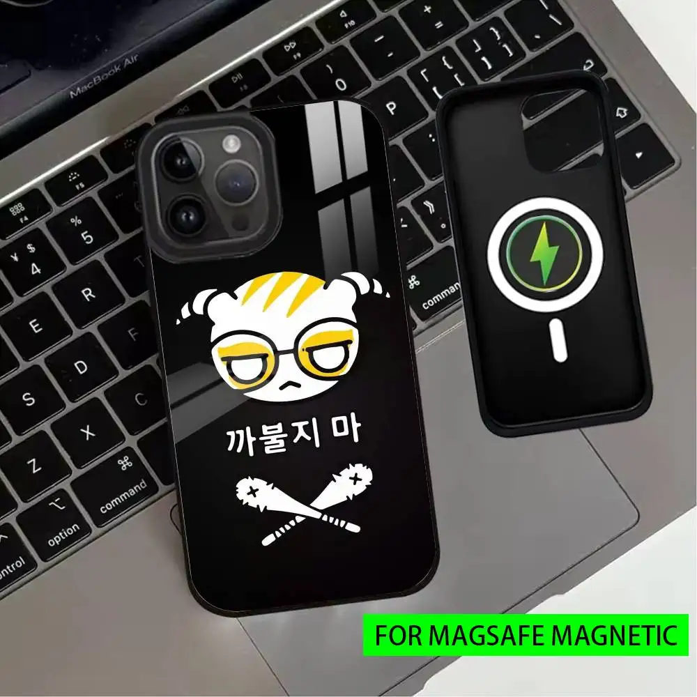 Game R-Rainbow S-Six S-Siege-es Phone Case For iPhone17,16,15,14,13,12,11 Plus,Pro Magnetic For Magsafe Wireless Charging