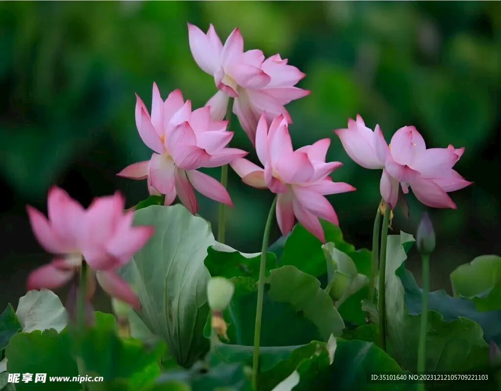 

Металлические передние и задние портальные мосты для радиоуправляемых краулеров 1/10 Axial-SCX10 III 90046 90047 (комплект рамы)