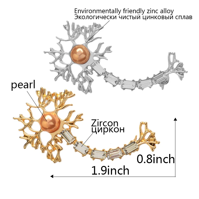 Spille e spilla Neuron con perle e zirconi le spille delle cellule del nervo del cervello regalo di gioielli medici per infermiere medico