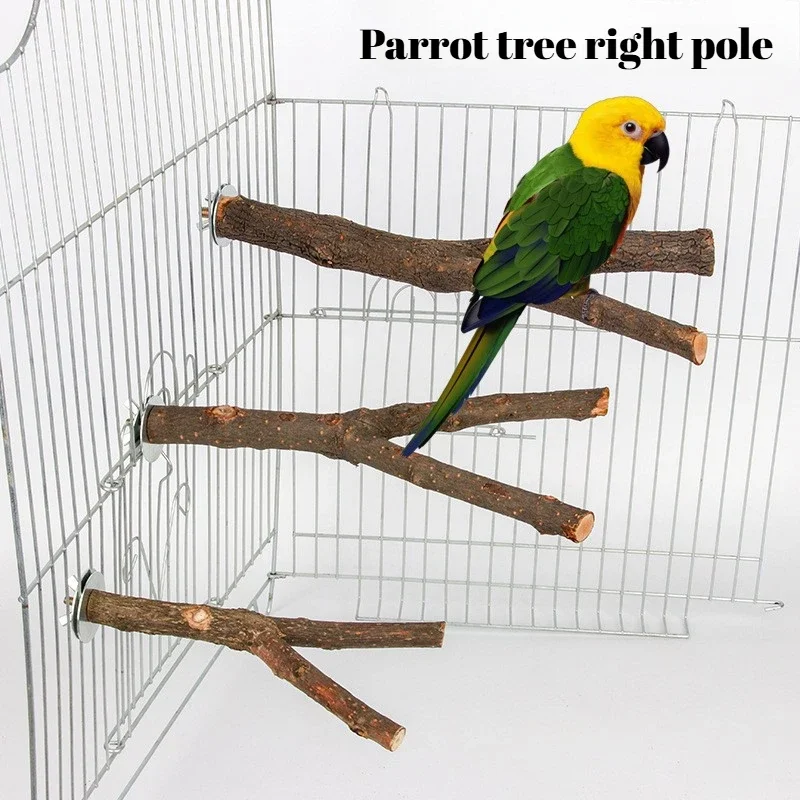 Jouet à Mâcher Perroquets Sur Pied Durable Pour Oiseaux, Fourche D'arbre, Fourchette, Support De Station Bifurque, Jouet à Mâcher