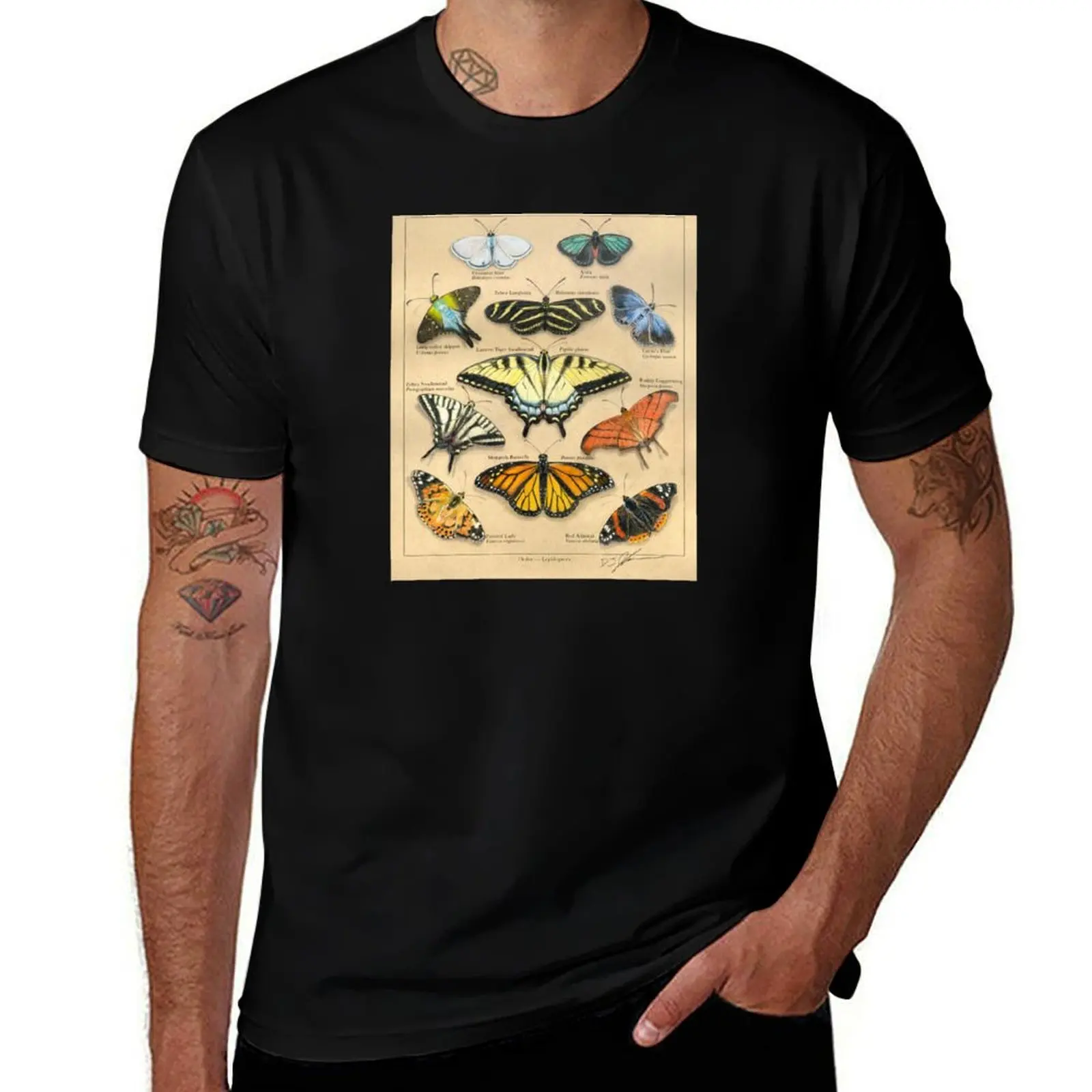 Lepidopterans Plate Illustration T-Shirt Basic Crew Neck Short Sleeve Top T-Shirt