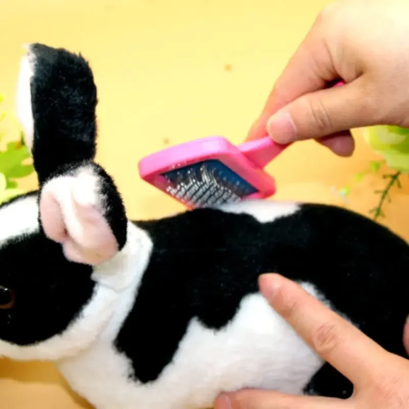 Multifunctional Pet Grooming Brush Soft Bristle Needle Comb for Rabbit Dutch Pig Guinea Pig Small Pets