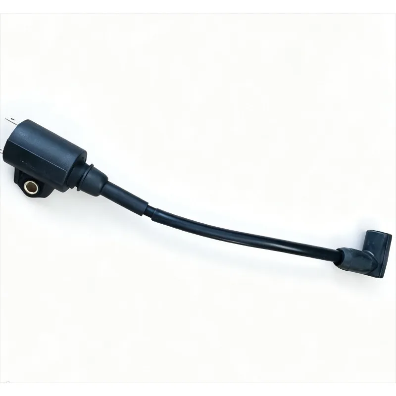 Suitable for 2‑Stroke 4HP Outboard Motor Ignition Coil, Boat Engine Ignition System Replacement Spare Parts