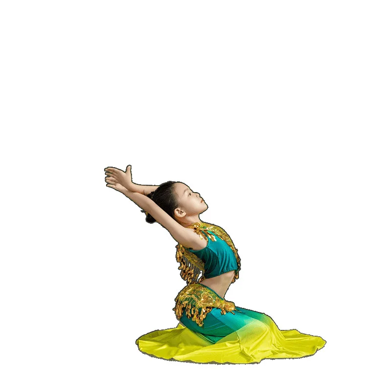 The New Dai Dance Performance Dress Wraps The Buttocks and Gradually Changes The Fishtail Practice Skirt for Girls